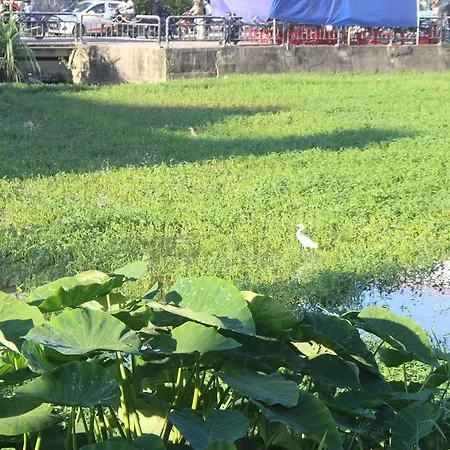 Hoi An Green View Homestay & Villa Exterior photo