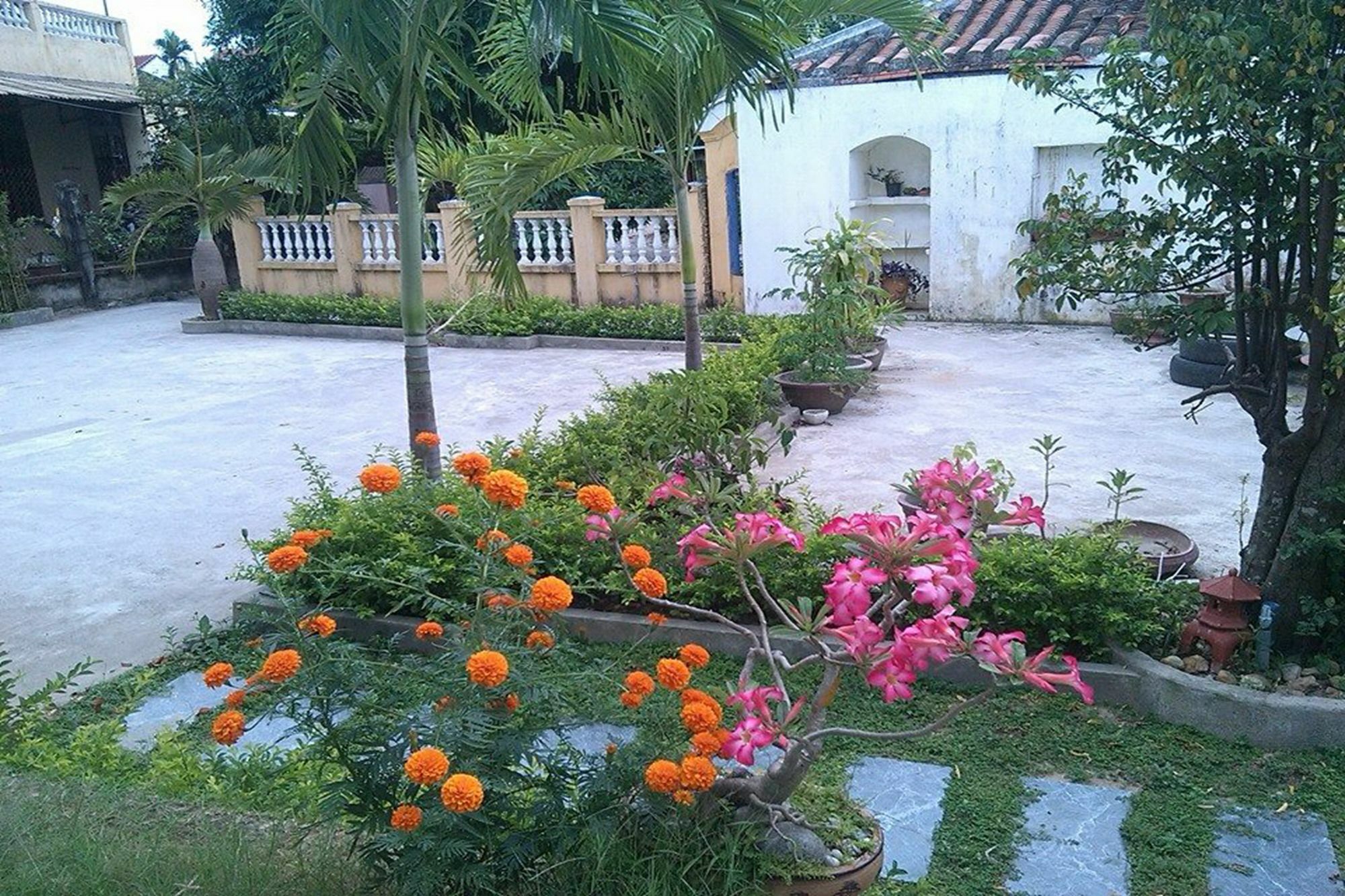 View & * Hoi An