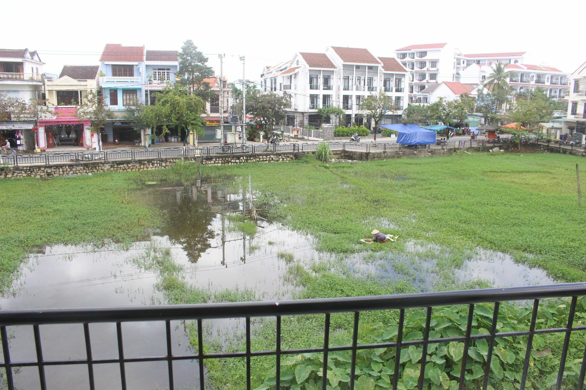 View & Homestay Hoi An