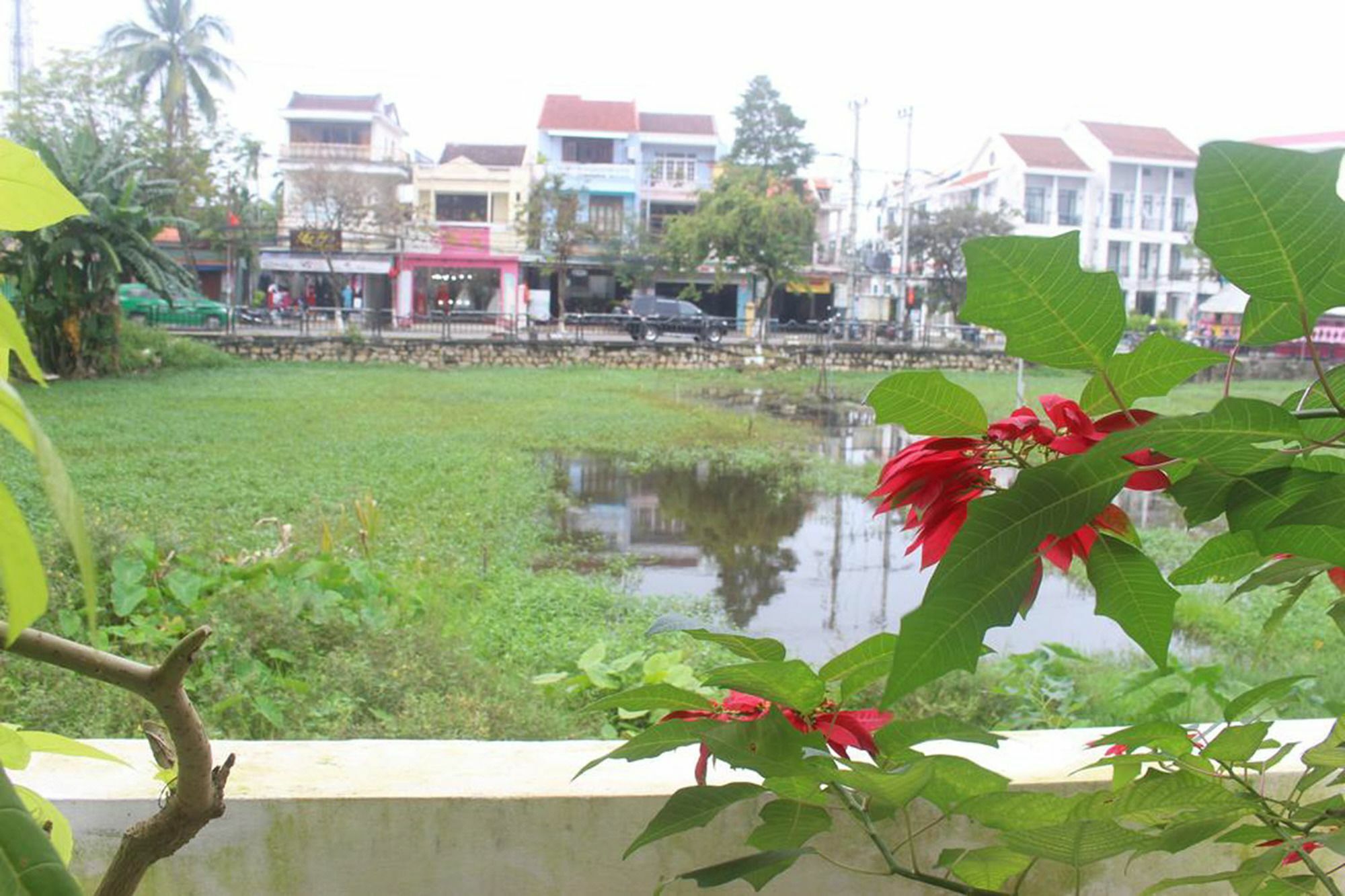 View & Homestay *